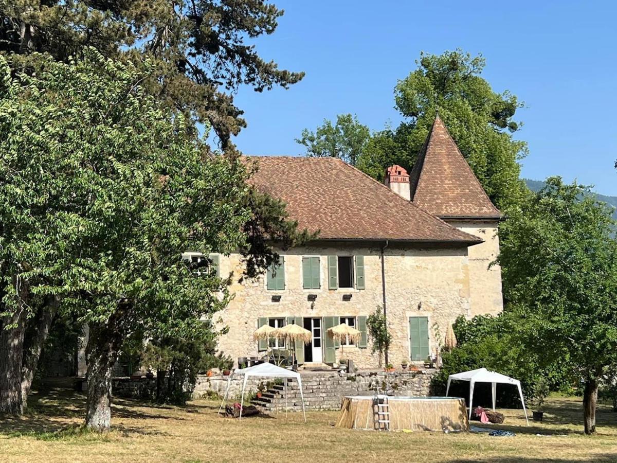 Domaine Du Tres-Haut - Chateau De Montanges Екстериор снимка