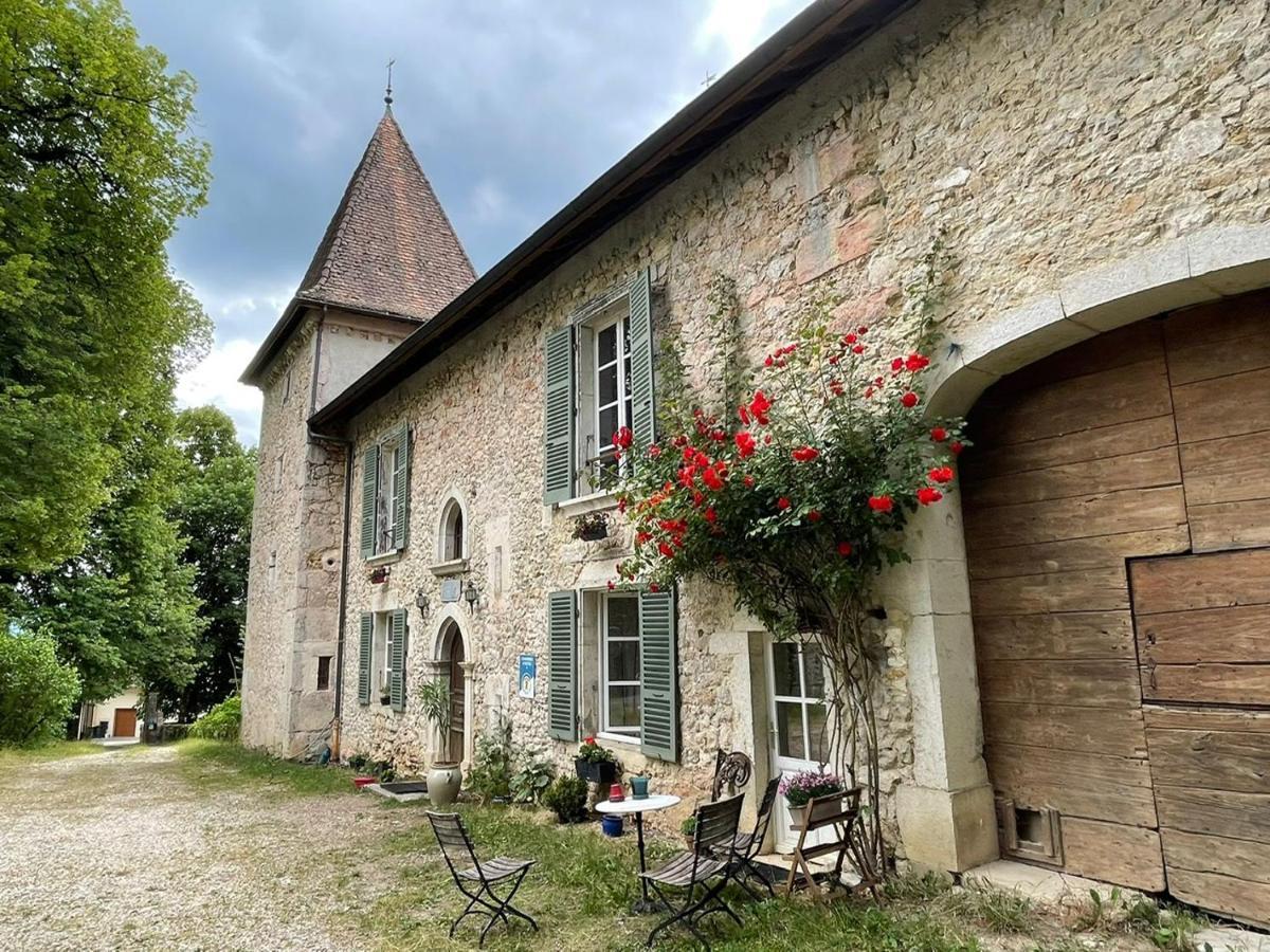 Domaine Du Tres-Haut - Chateau De Montanges Екстериор снимка