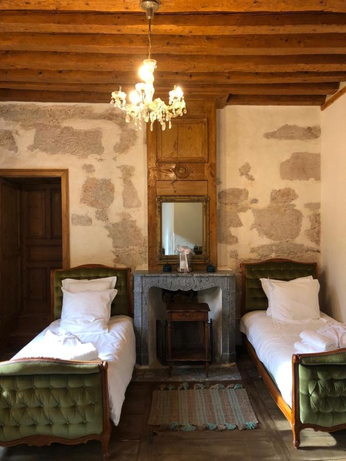 Domaine Du Tres-Haut - Chateau De Montanges Екстериор снимка