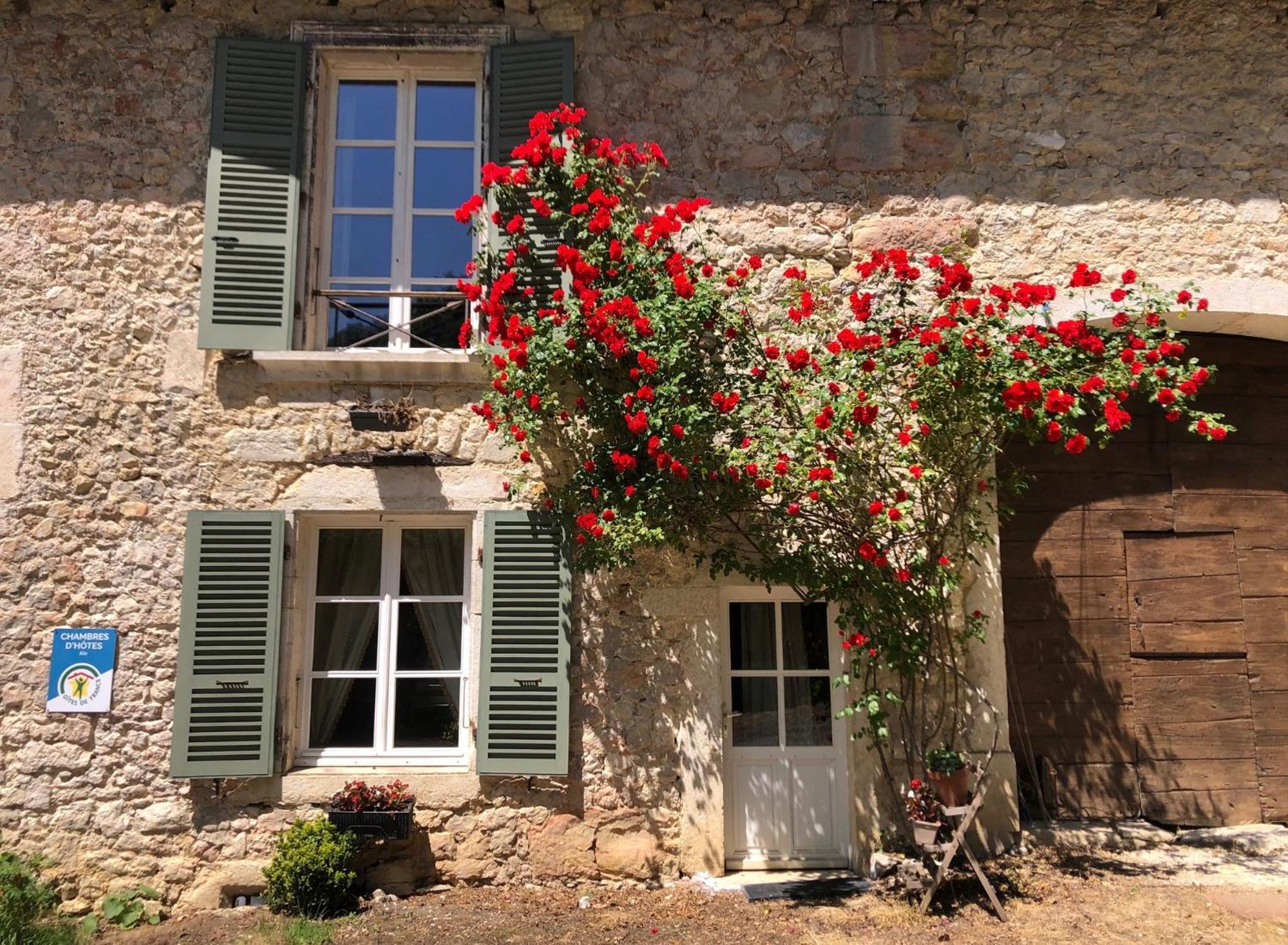 Domaine Du Tres-Haut - Chateau De Montanges Екстериор снимка