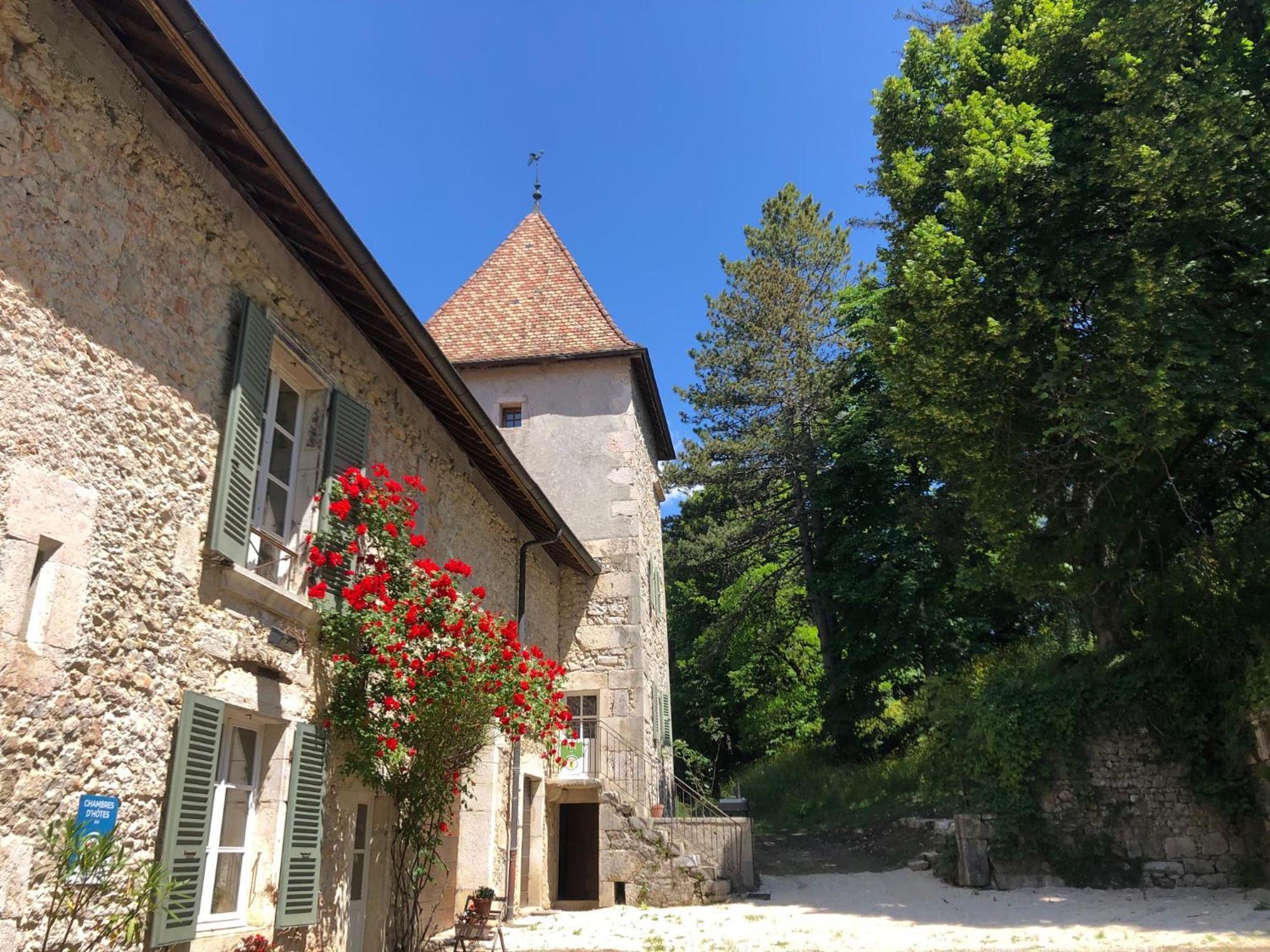 Domaine Du Tres-Haut - Chateau De Montanges Екстериор снимка