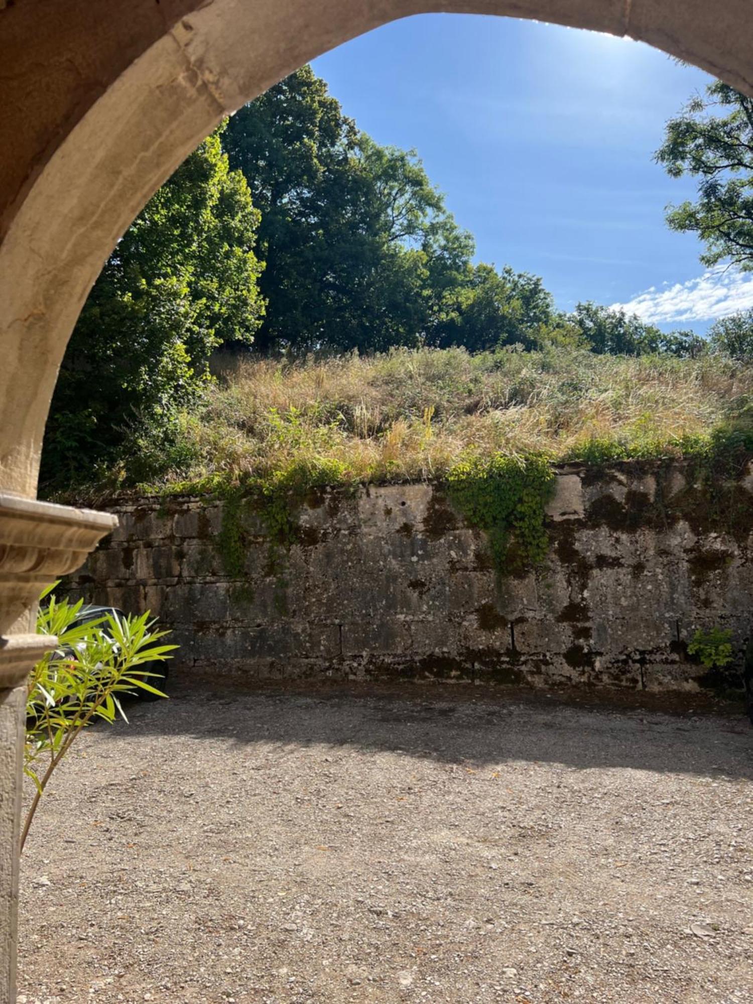 Domaine Du Tres-Haut - Chateau De Montanges Екстериор снимка