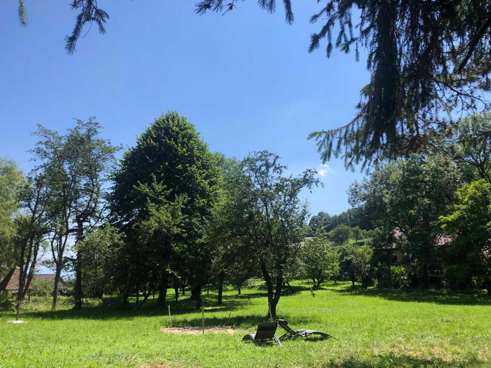 Domaine Du Tres-Haut - Chateau De Montanges Екстериор снимка